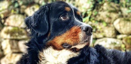 Lúa de Lara Álvarez