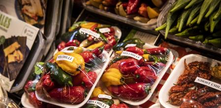 La exposición humana a estos plastificantes puede producirse a través de diferentes vías, tales como la inhalación de partículas en suspensión en el aire, la ingestión de polvo o por contacto dérmico