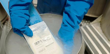 Son el CAR-T del Clínic para leucemia linfoblástica aguda, recién autorizado como medicamento y lo han hecho ellos