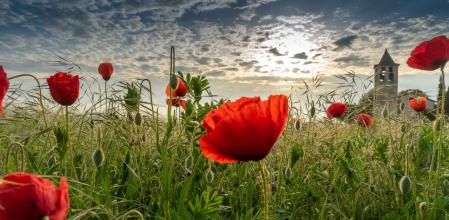 Amanecer de mayo en Gurb.