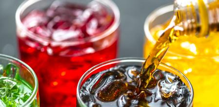 Mejores productos de Kombucha