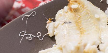 ¿Cuáles son los pescados del mercado con más anisakis?