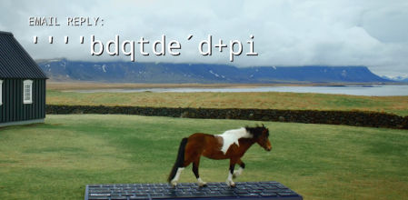 Los caballos escriben sobre un teclado enorme