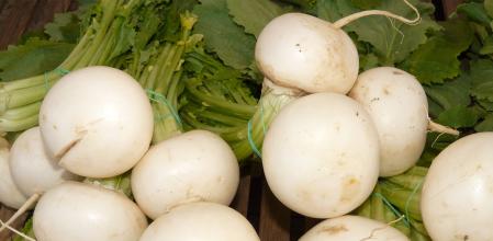 Nabo de mesa