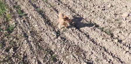 Reto visual: ¿Dónde está la moneda de 5 pesetas?