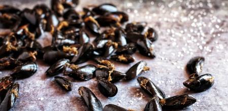 Mejillones a la crema