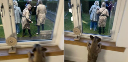 La estampa que vio Lanna al despertar de la siesta