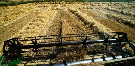 El momento en que se acaba la siega en el campo, en Vic.