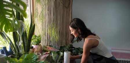 Mucha humedad no es buena