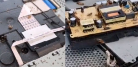 La reparación escondía una sorpresa inesperada