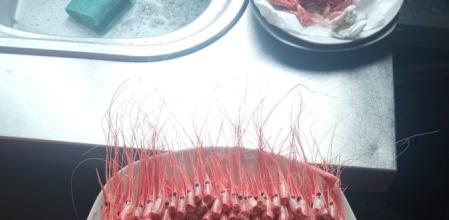 Arrasa en Twitter mostrando cómo el cliente de un bar ha dejado un plato de camarones