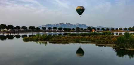 Reflejos en el Parc de l'Agulla.