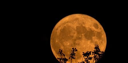 Luna del Ciervo 2023 | Horario y cómo ver la Superluna Llena de julio&nbsp;