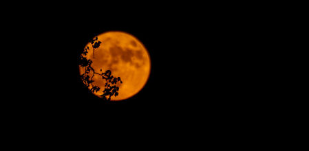Superluna del ciervo, en Mijas costa.