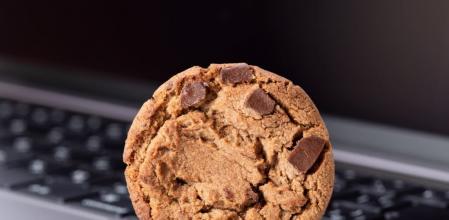 Al aceptar las cookies el usuario autoriza a los sitios web a rastrear información sobre sí mismo