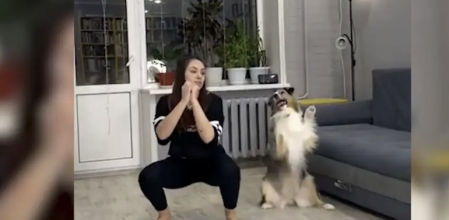 El perro imita a la perfección el recorrido profundo de su dueña