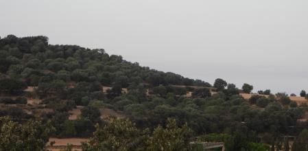 Reto visual: ¿Sabes por dónde vuela el globo aerostático?