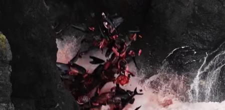 Los restos de los cetáceos muertos fueron vertidos al mar en una acción denunciada por la entidad ecologista  .