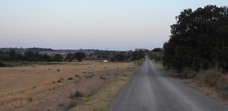 Reto visual: ¿Eres capaz de encontrar al zorro paseando por este paisaje?