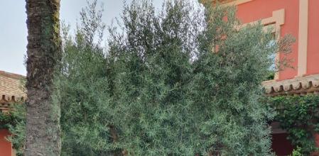 La referencia de ‘Cómo conocí a vuestra madre’ en el altar de una boda que ha enamorado a Twitter