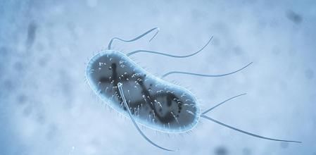 Ilustración de una bacteria 'Escherichia coli' vista a través de un microscopio