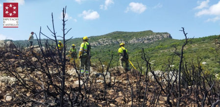 Los bomberos trabajan en la extinción del incendio.