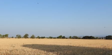 Reto visual: ¿Puedes localizar la torre del Pilar d'Amenara en menos de 30 segundos?