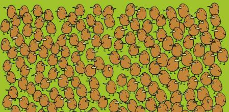 Reto visual: ¿Eres capaz de encontrar los kiwis escondidos en la imagen en solo diez segundos?