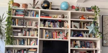 El enigma viral que triunfa en redes: ¿Eres capaz de encontrar al gato escondido en la estantería?