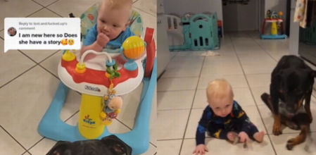 Una perra conquista a las redes dándole un curso intensivo de gateo al bebé que cuida