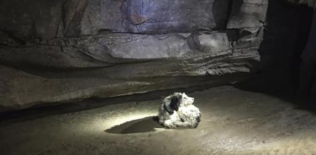 Abby, al ser rescatada en la cueva donde quedó atrapada.