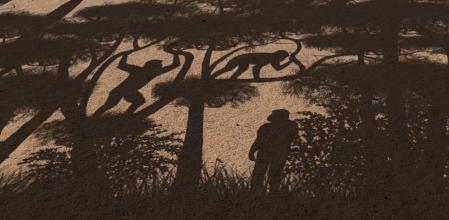 Representación de los modos de locomoción practicados por Sahelanthropus. El bipedismo era común entre los primeros representantes conocidos de la humanidad, probablemente en el suelo pero también en los árboles. Coexistía con otros tipos de movimiento en un entorno arbóreo, incluido el movimiento cuadrúpedo que utilizaba el agarre firme de las manos, diferenciándose claramente del de los gorilas y chimpancés, que utilizan la parte posterior de las falanges para apoyarse (