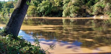 Agua color café con leche en el río Ter a su paso por Manlleu.