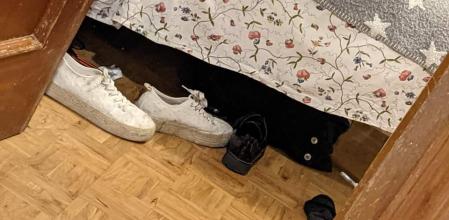 La tragicómica experiencia viral de una mujer que pensaba que su gata estaba muerta