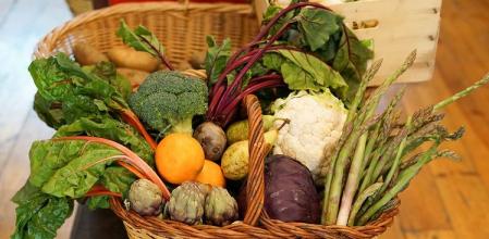 Verduras y frutas ecológicas para los comedores escolares