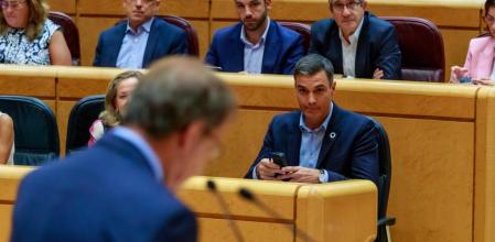 Pleno Senado Debate Presidente del Gobierno, Pedro Sanchez y Presidente del Partido Popular P￼.P, Alberto Núñez Feijóo.