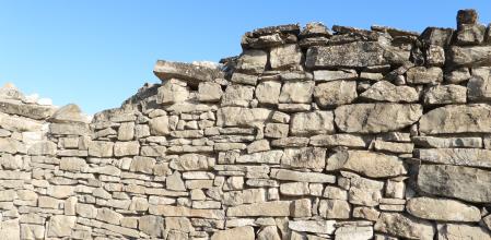 Reto visual: ¿Puedes encontrar a la esfinge colibrí en menos de 30 segundos?