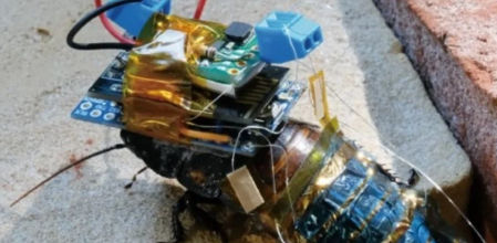 Mitad cucaracha, mitad robot