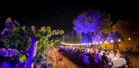 Cena en los viñedos