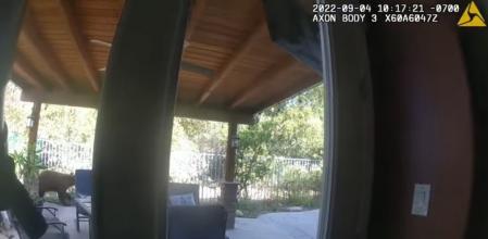 El insólito momento en que un oso se cuela en una vivienda para comerse un pastel de chocolate