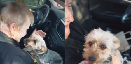 El emotivo reencuentro entre una anciana y su perrita tras unos días en el hospital: "Amor puro"