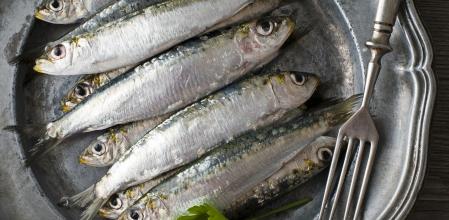 Sardinas