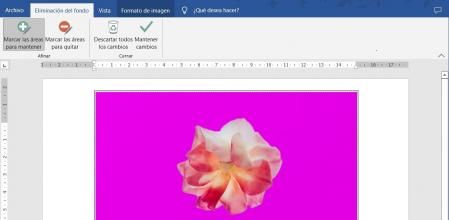 La herramienta para quitar el fondo en Word es apta para usuarios principiantes.