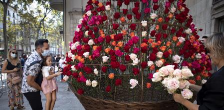 Fiesta del rosal de la Rambla,Arbol de los deseos en la Virreina- Foto Ana Jiménez