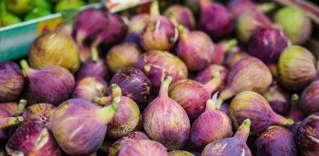 La temporada de higos es muy breve