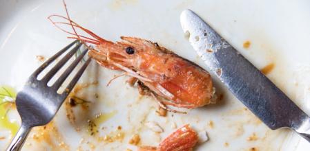 Una cabeza de la gamba