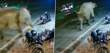 Una escena terrorífica