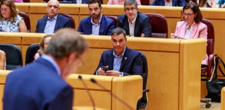 Pleno Senado Debate Presidente del Gobierno, Pedro Sanchez y Presidente del Partido Popular P￼.P, Alberto Núñez Feijóo.