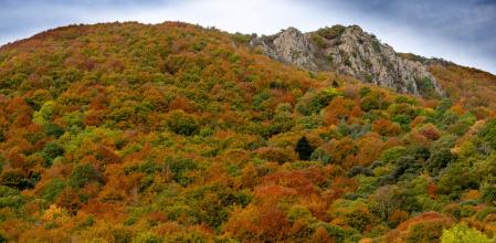 Otoño en Santa Fe del Montseny.
