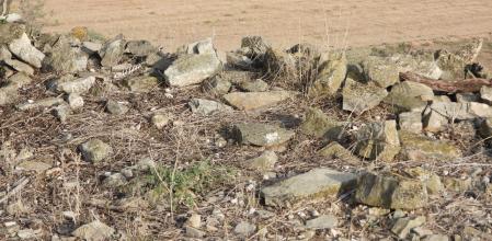 Reto visual: ¿Eres capaz de ver el pequeño dragón?